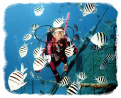 naturalist.jpg (16854 Byte)