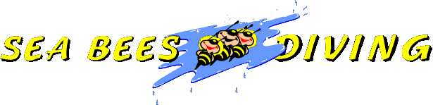 logo seabees.gif (7577 Byte)